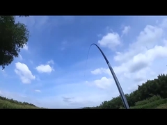 เรือปลากล่องปลาที่ฉลาด เครื่องควบคุมระยะไกลแบบไร้สาย